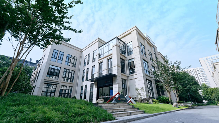 公司新闻_大信会计师事务所